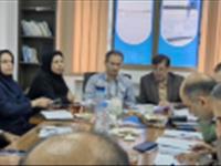بررسی راهکارهای افزایش بهره‌وری صنعت شیلات استان