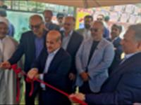 برداشت محصول ماهی آزاد بومی از قفس‌های دریای خزر در مازندران
