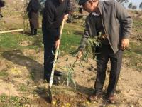 مشارکت پرسنل پژوهشکده در جشن روز درختکاری