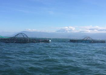 تدوین ضوابط و معیار های محل استقرار قفس های پرورش ماهیان دریایی